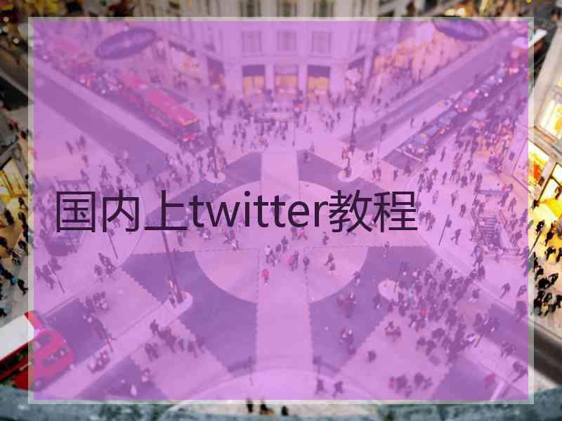 国内上twitter教程