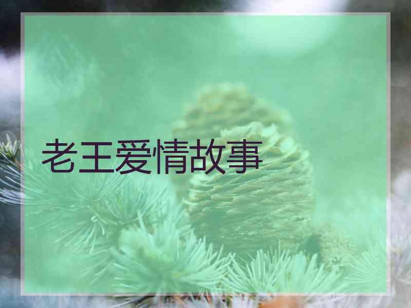 老王爱情故事