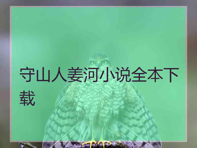 守山人姜河小说全本下载