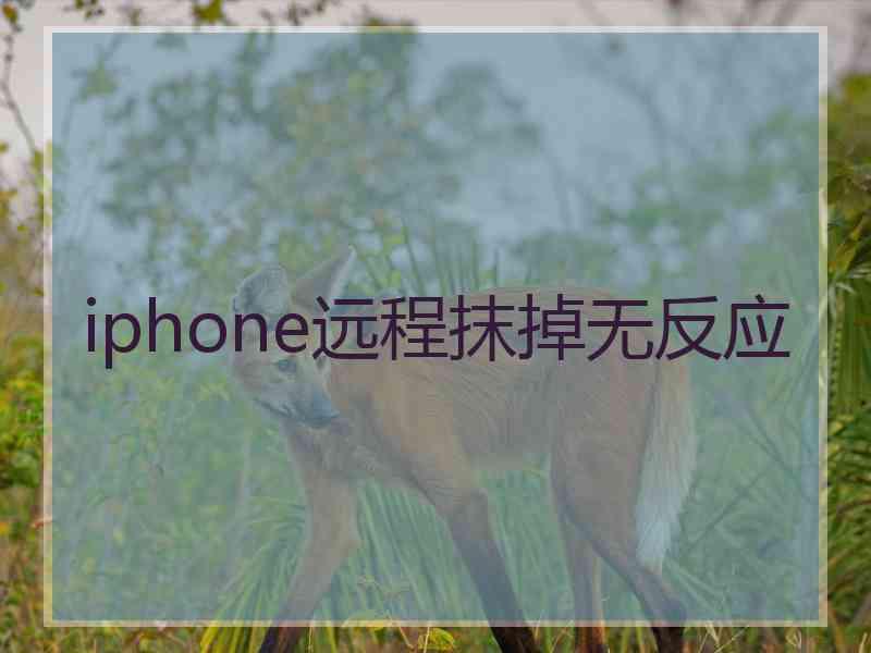 iphone远程抹掉无反应