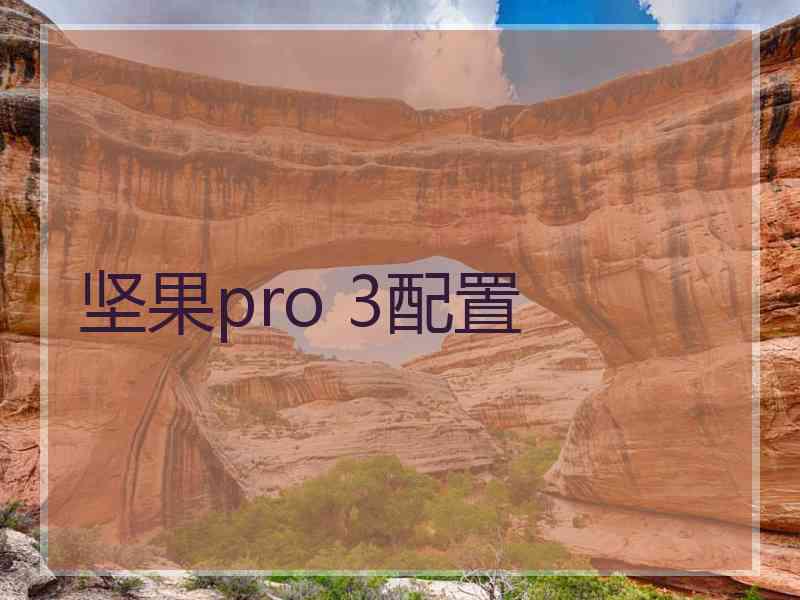 坚果pro 3配置