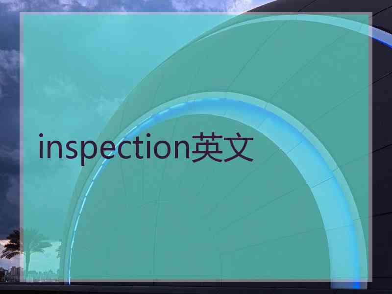 inspection英文