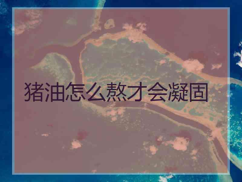 猪油怎么熬才会凝固