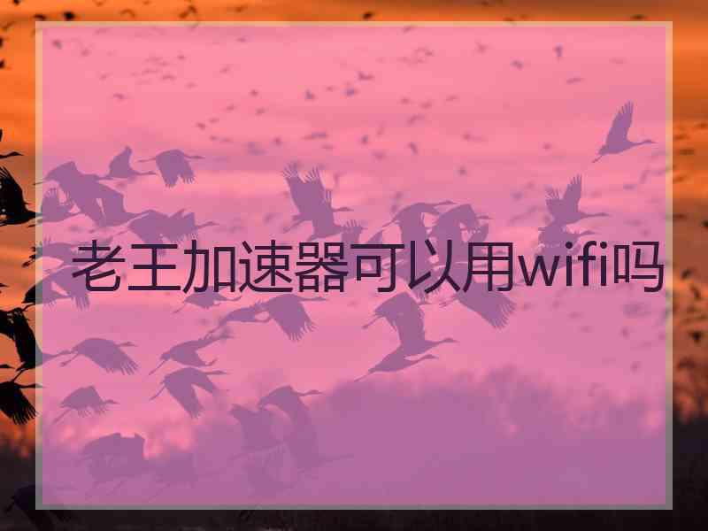 老王加速器可以用wifi吗