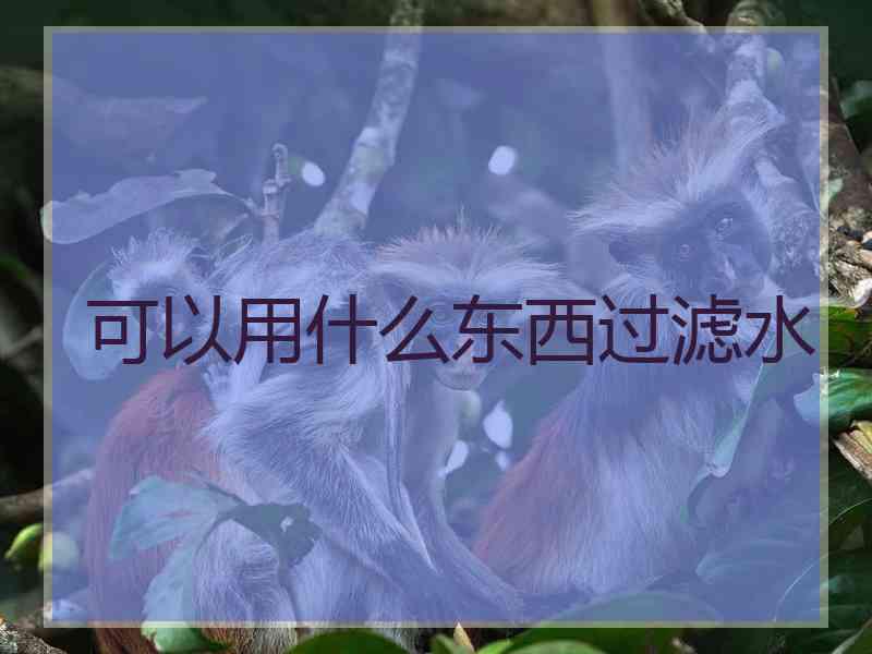 可以用什么东西过滤水