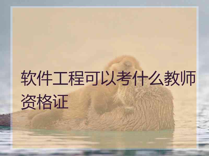 软件工程可以考什么教师资格证