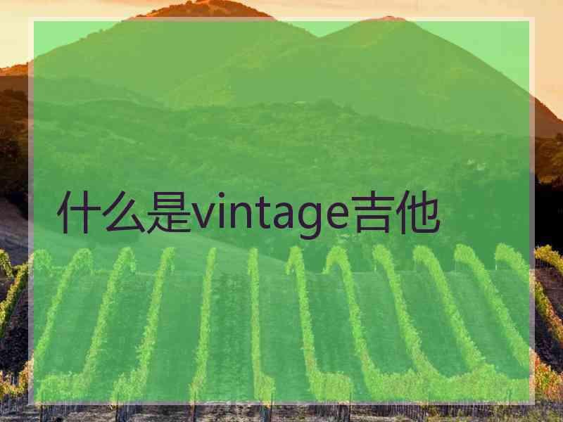 什么是vintage吉他