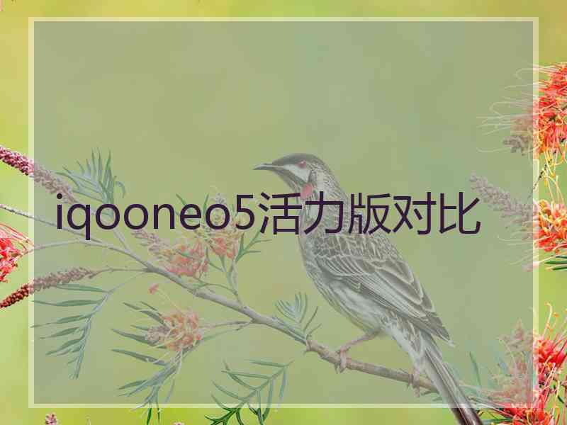 iqooneo5活力版对比