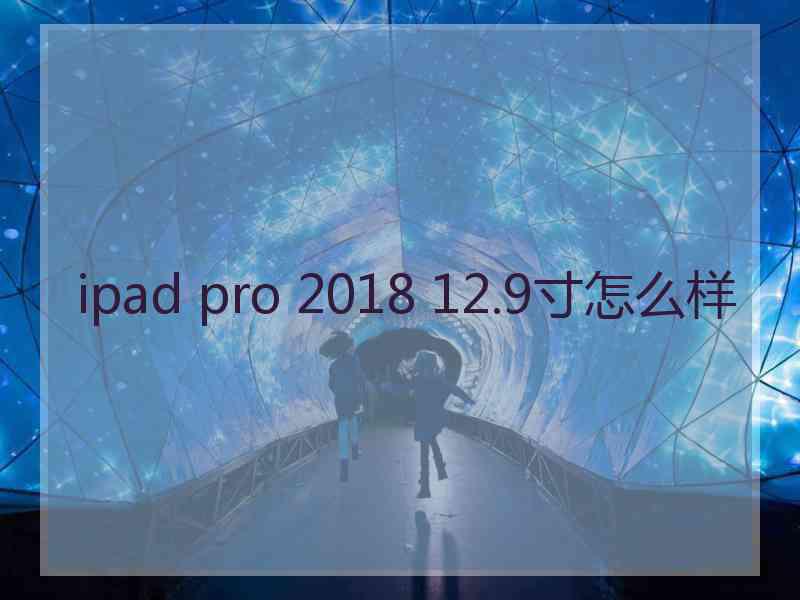 ipad pro 2018 12.9寸怎么样