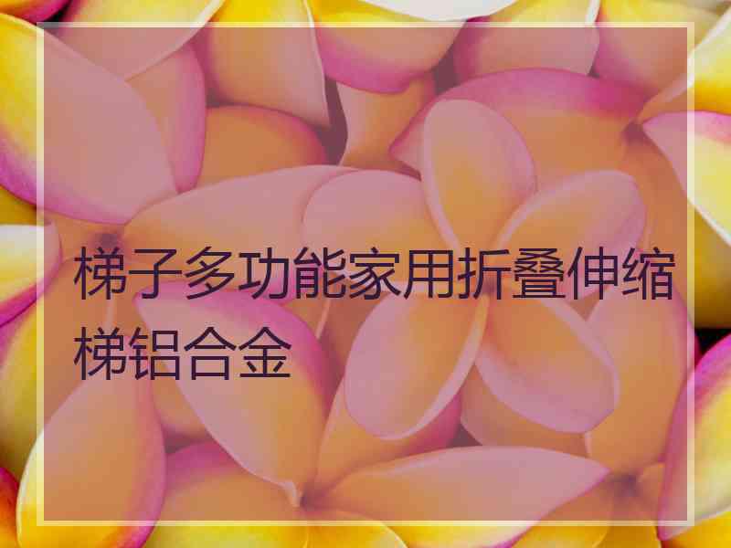 梯子多功能家用折叠伸缩梯铝合金