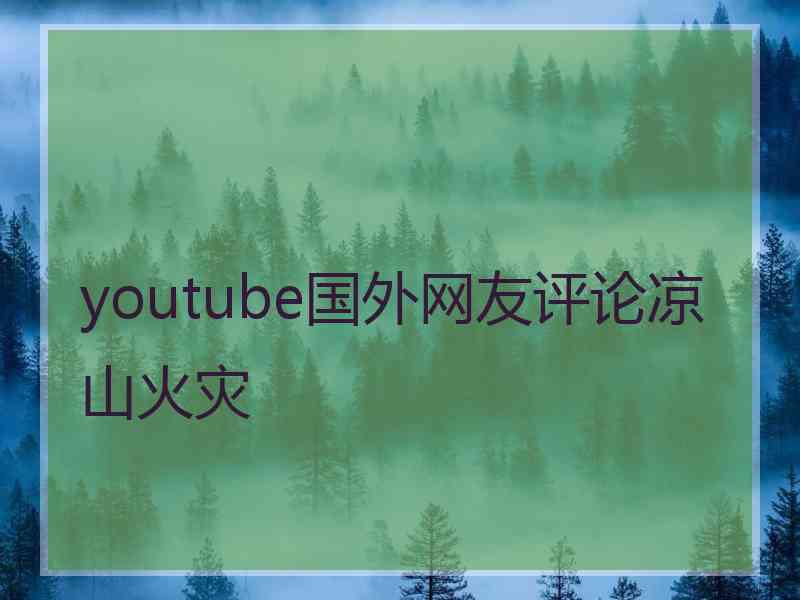 youtube国外网友评论凉山火灾