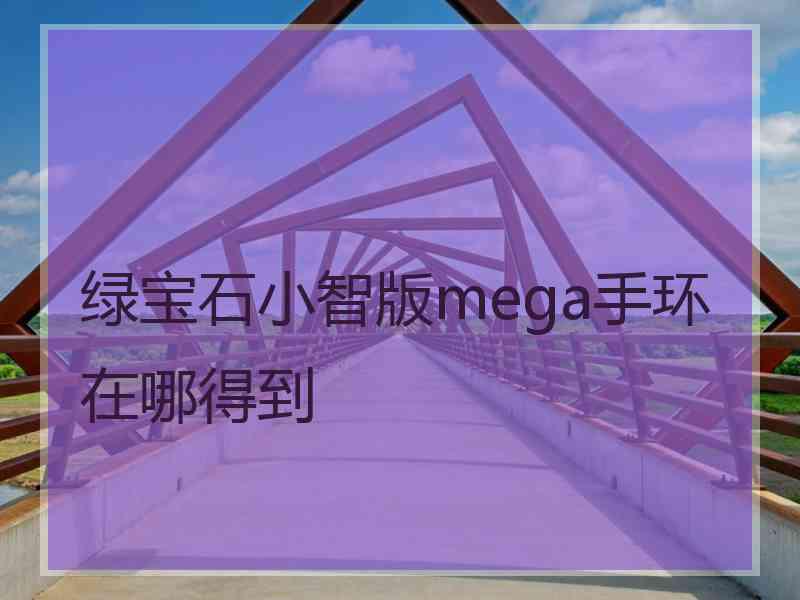 绿宝石小智版mega手环在哪得到