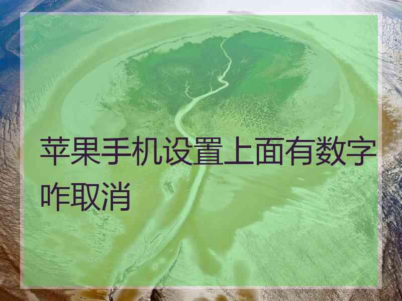 苹果手机设置上面有数字咋取消