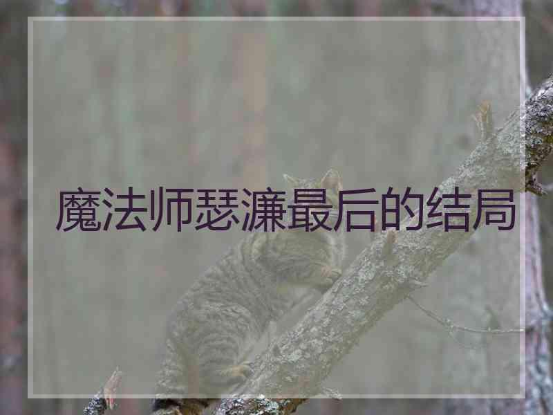 魔法师瑟濂最后的结局