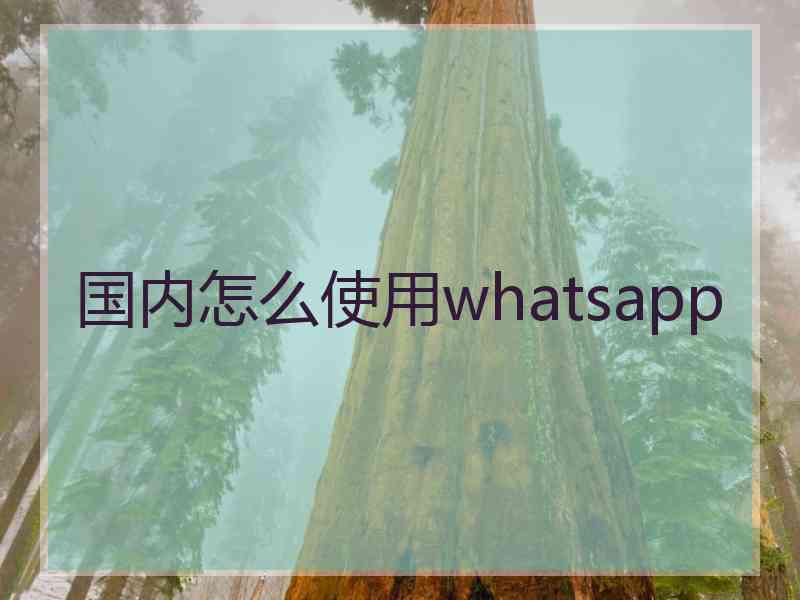 国内怎么使用whatsapp