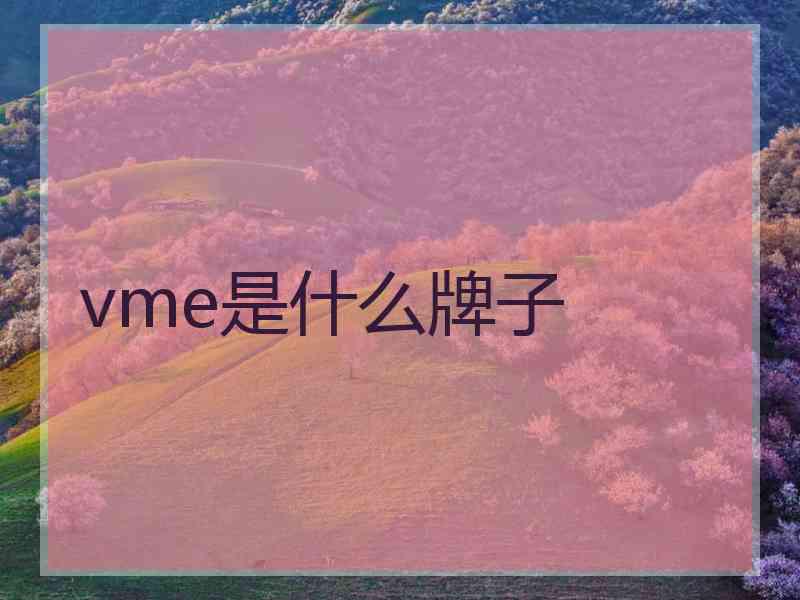 vme是什么牌子