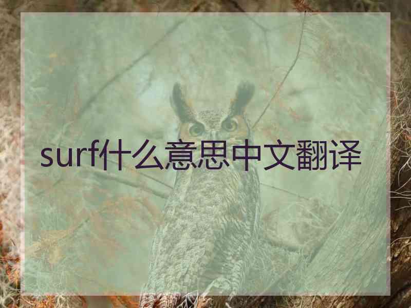 surf什么意思中文翻译