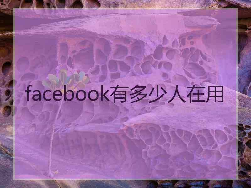 facebook有多少人在用