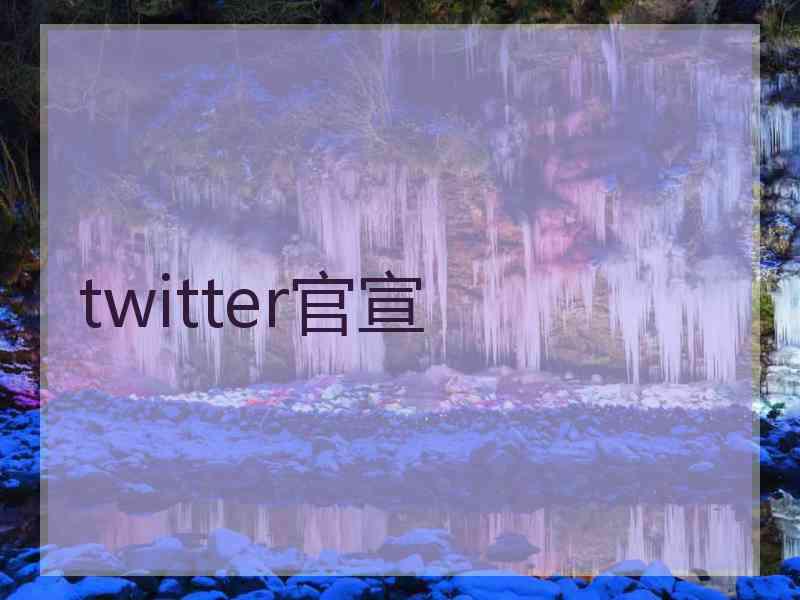 twitter官宣