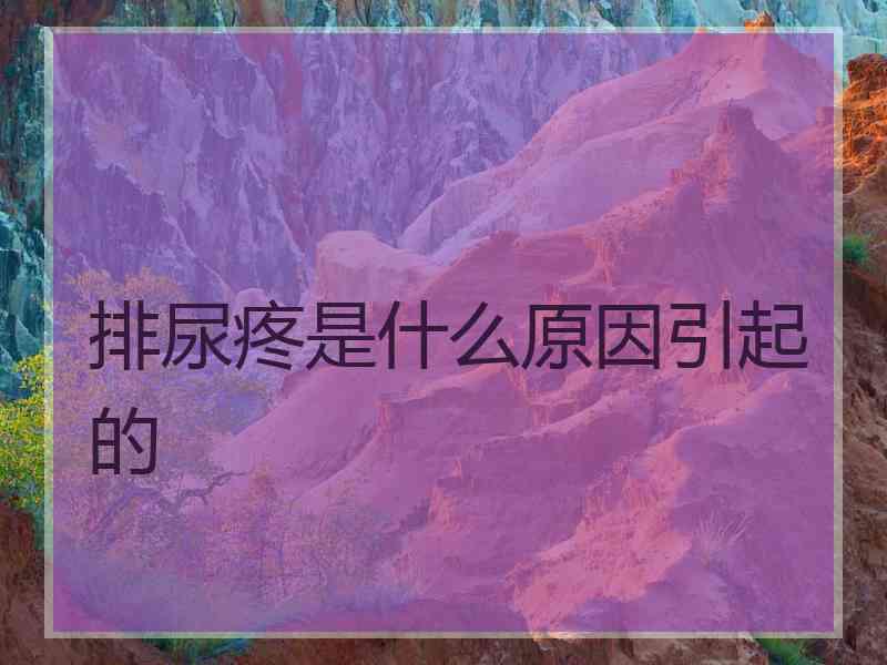 排尿疼是什么原因引起的