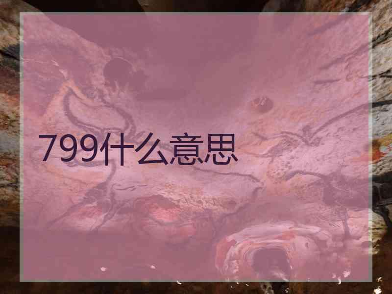 799什么意思