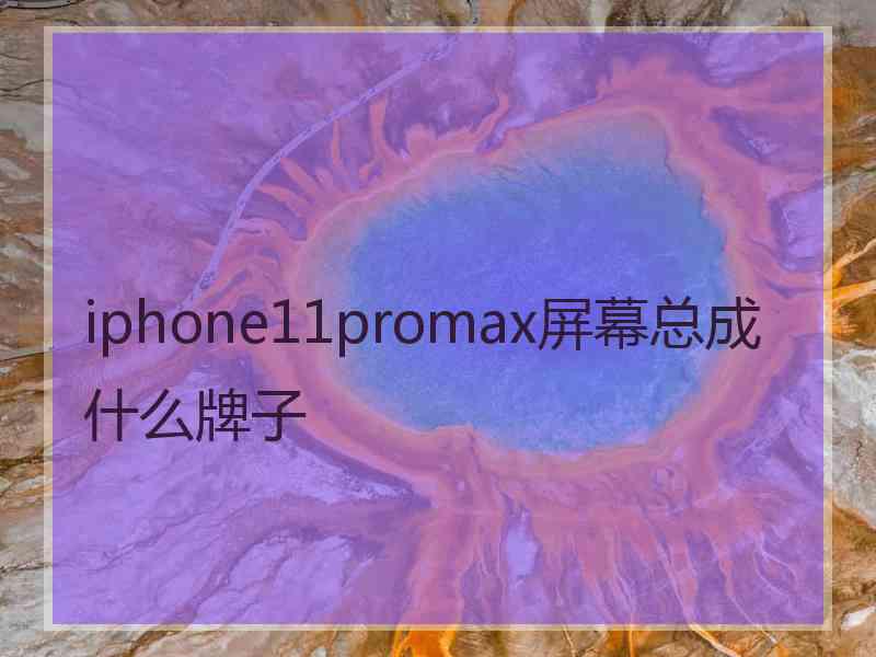 iphone11promax屏幕总成什么牌子