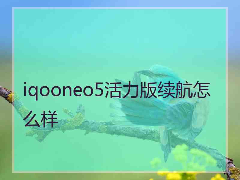 iqooneo5活力版续航怎么样