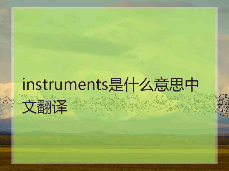 instruments是什么意思中文翻译