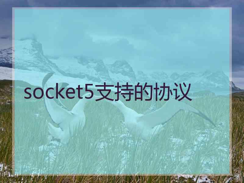 socket5支持的协议