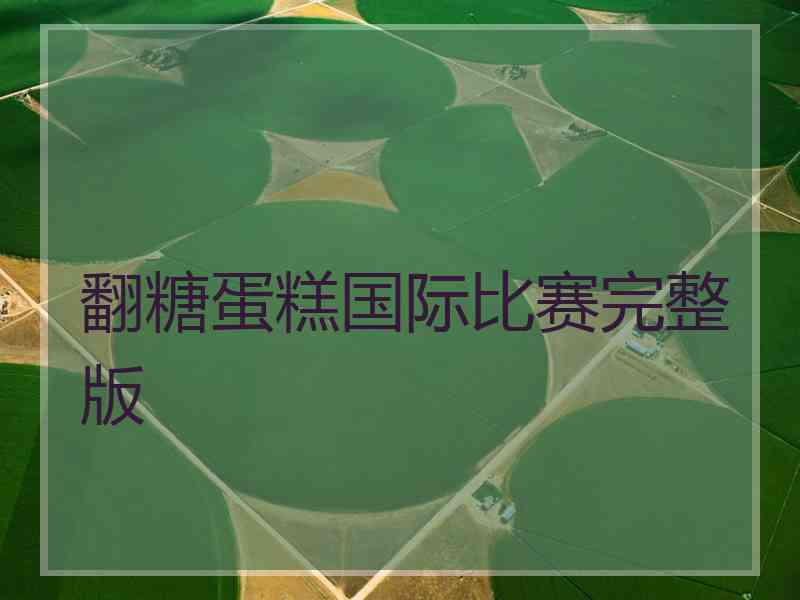 翻糖蛋糕国际比赛完整版