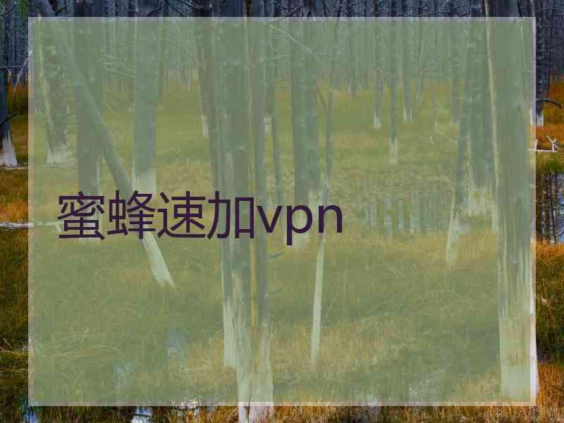 蜜蜂速加vpn