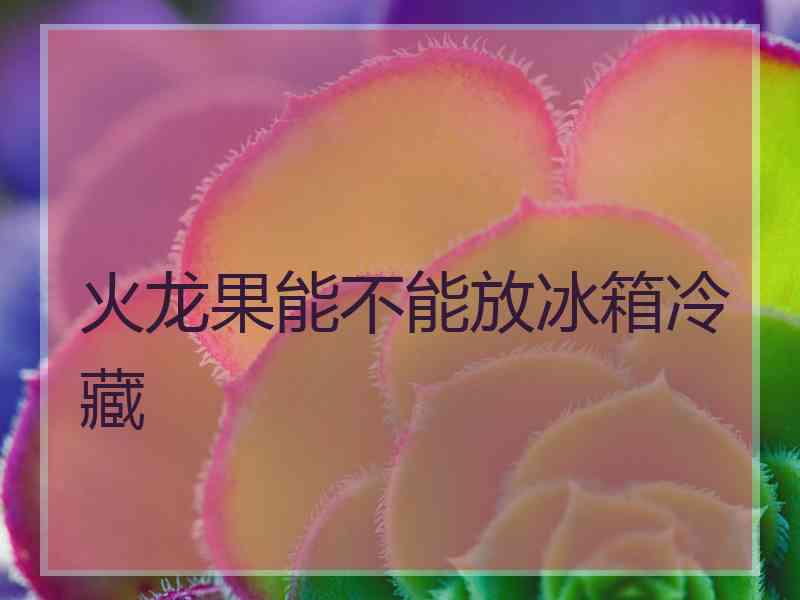 火龙果能不能放冰箱冷藏