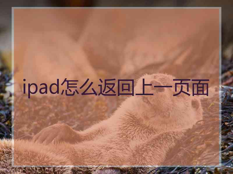 ipad怎么返回上一页面