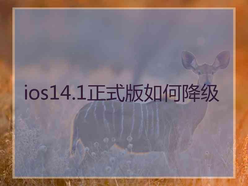 ios14.1正式版如何降级