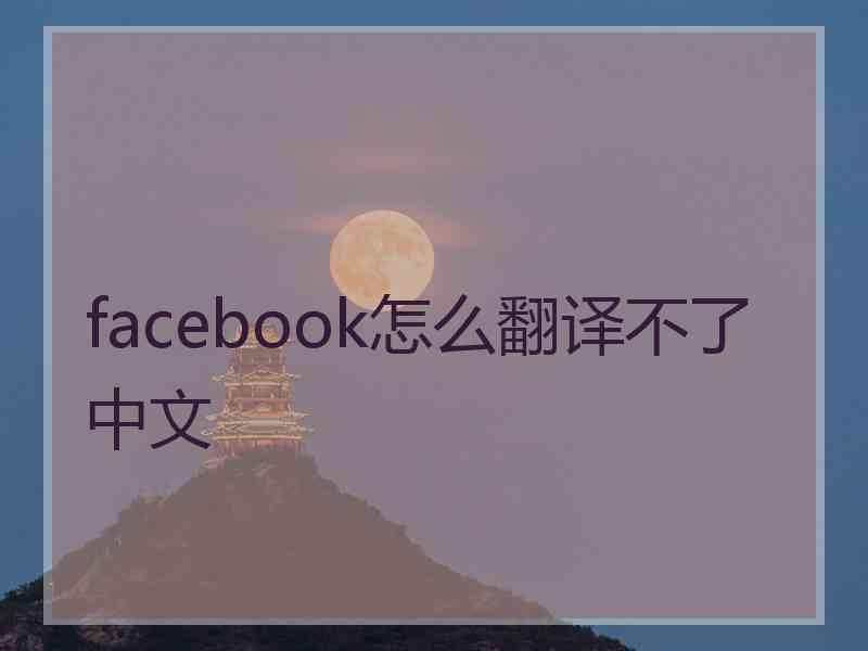 facebook怎么翻译不了中文