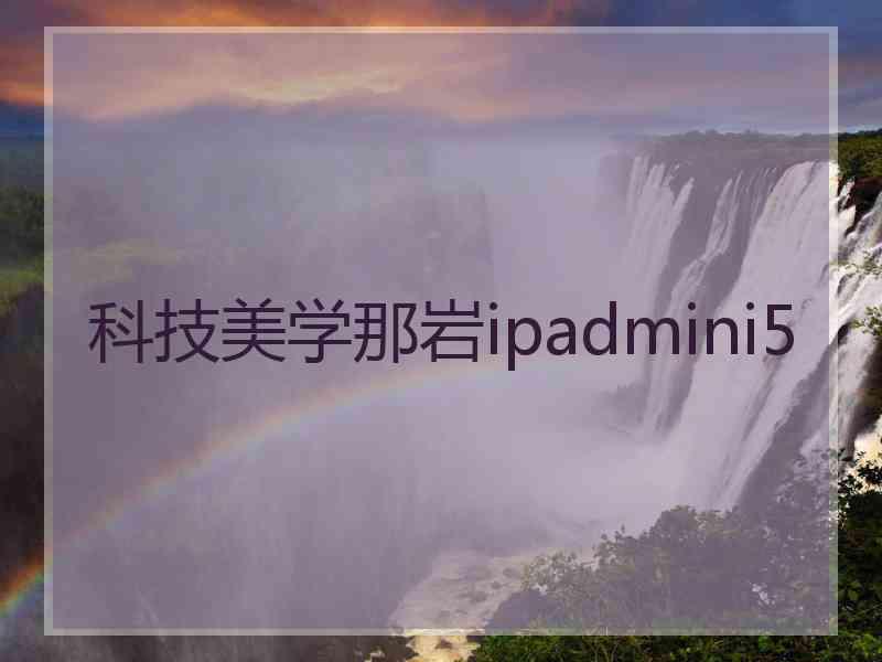 科技美学那岩ipadmini5