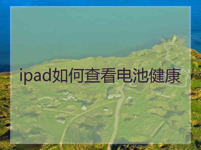 ipad如何查看电池健康