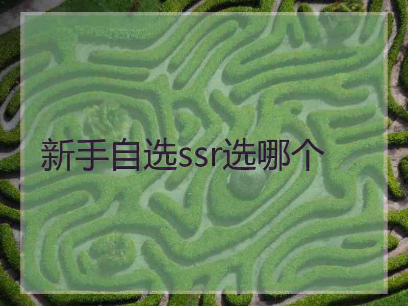 新手自选ssr选哪个