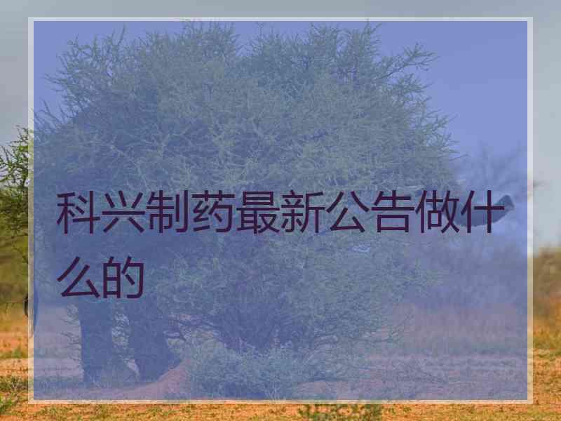 科兴制药最新公告做什么的