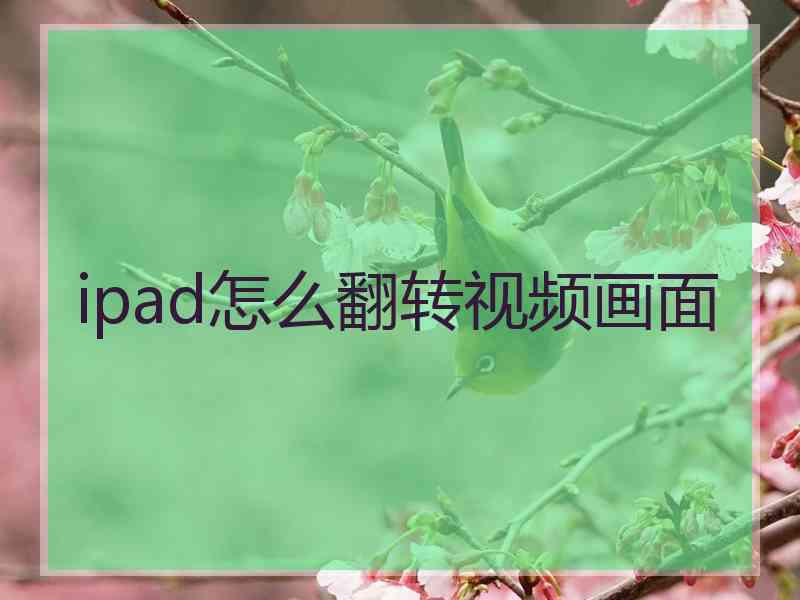 ipad怎么翻转视频画面