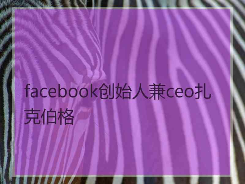 facebook创始人兼ceo扎克伯格