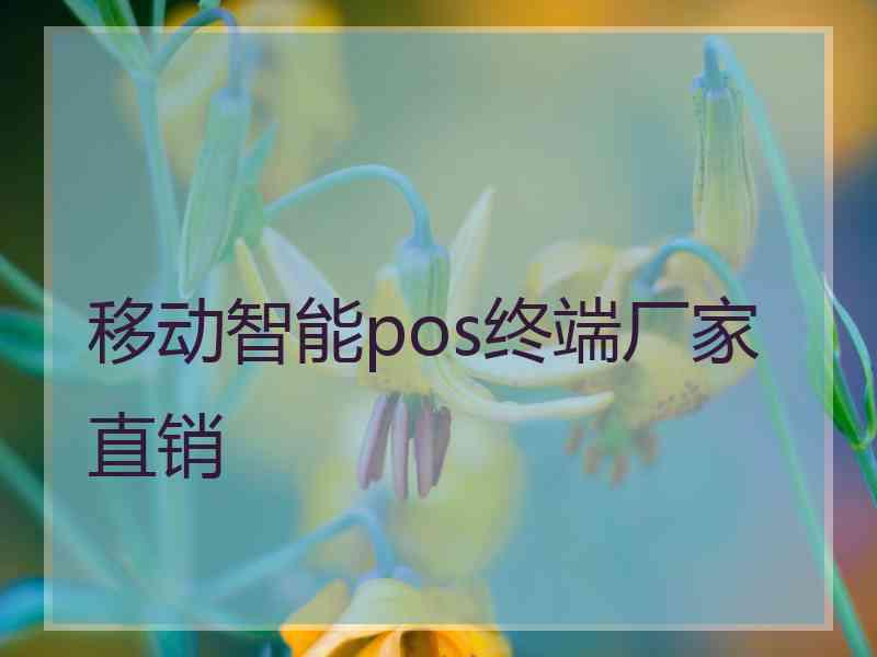 移动智能pos终端厂家直销