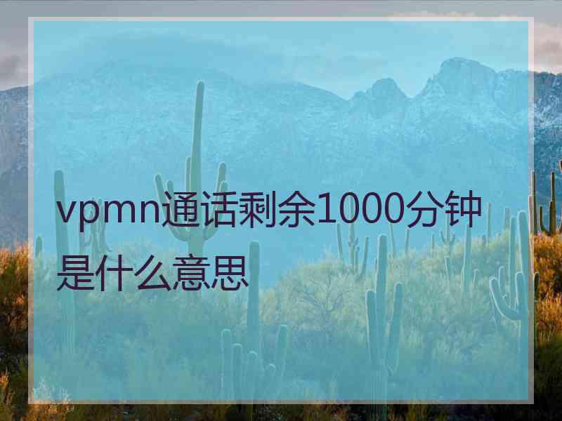 vpmn通话剩余1000分钟是什么意思