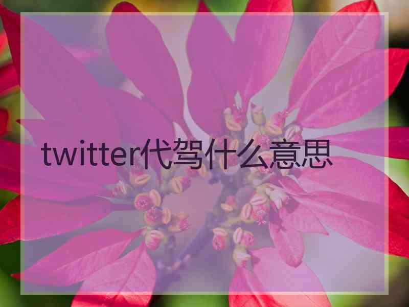 twitter代驾什么意思