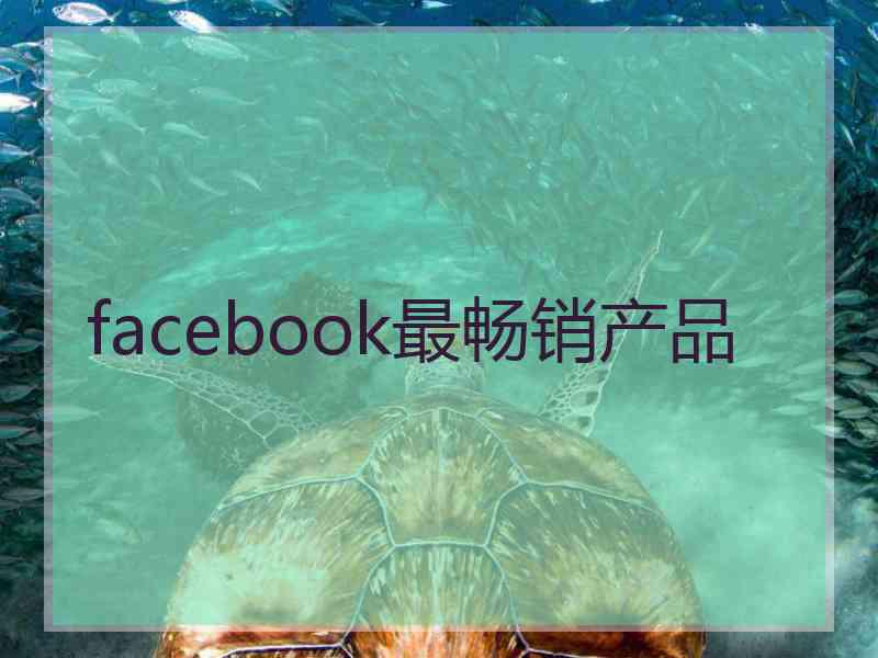 facebook最畅销产品