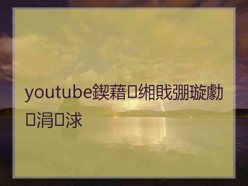 youtube鍥藉缃戝弸璇勮涓浗