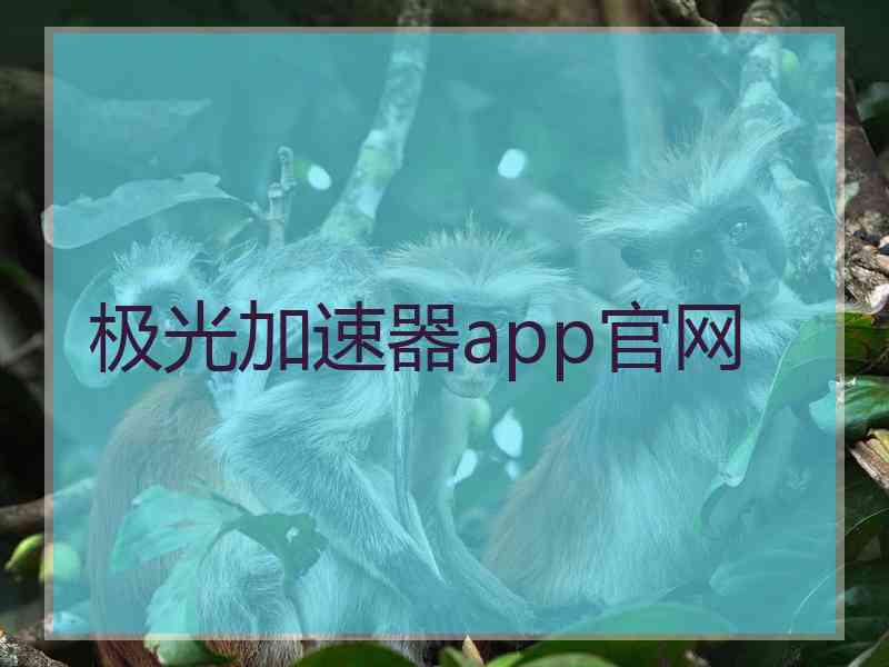 极光加速器app官网