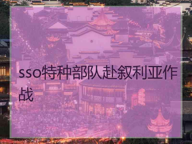 sso特种部队赴叙利亚作战