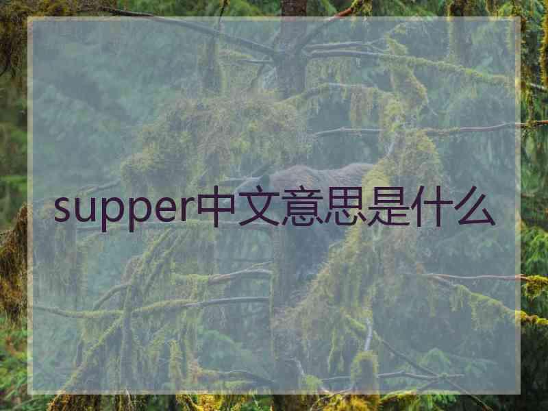 supper中文意思是什么