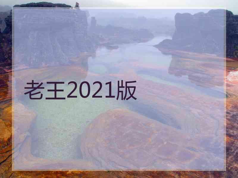 老王2021版